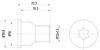 HELLA PAGID 8DZ 355 209-051 Bolt, brake disc